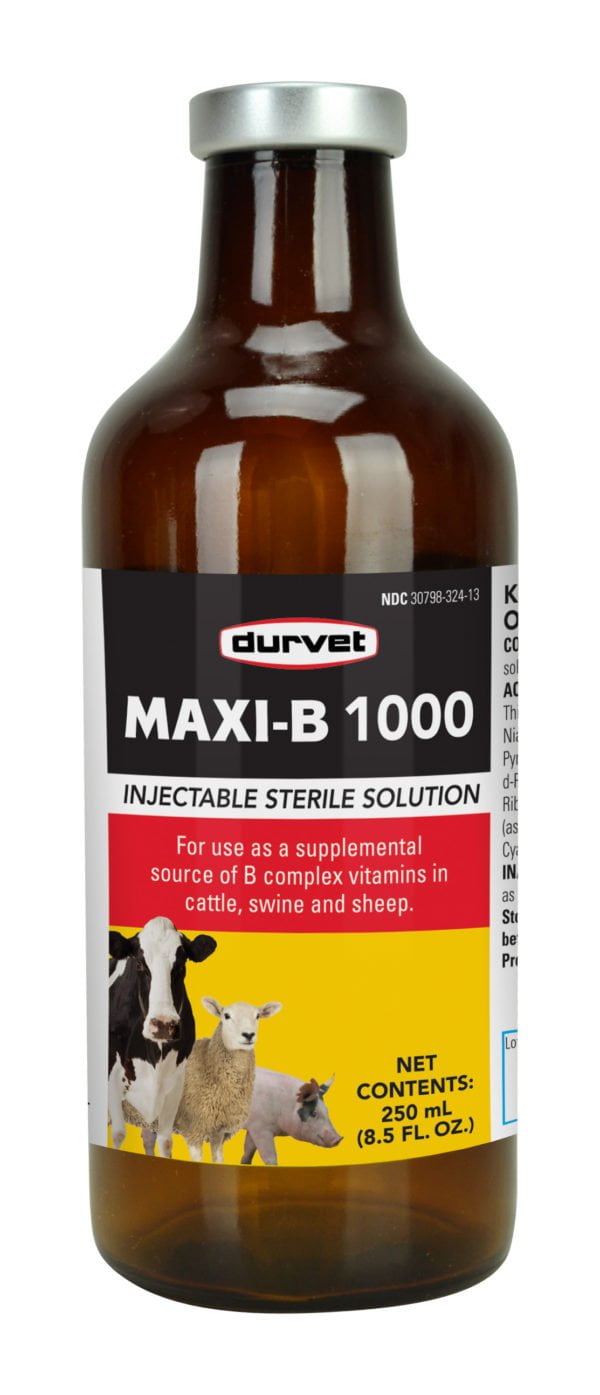 Vitamin B Complex Oral Gel - Durvet