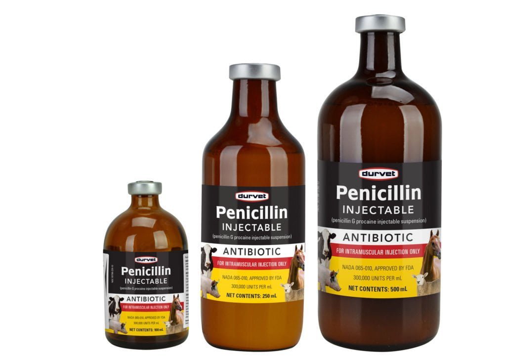 how much penicillin can you give a dog injectable