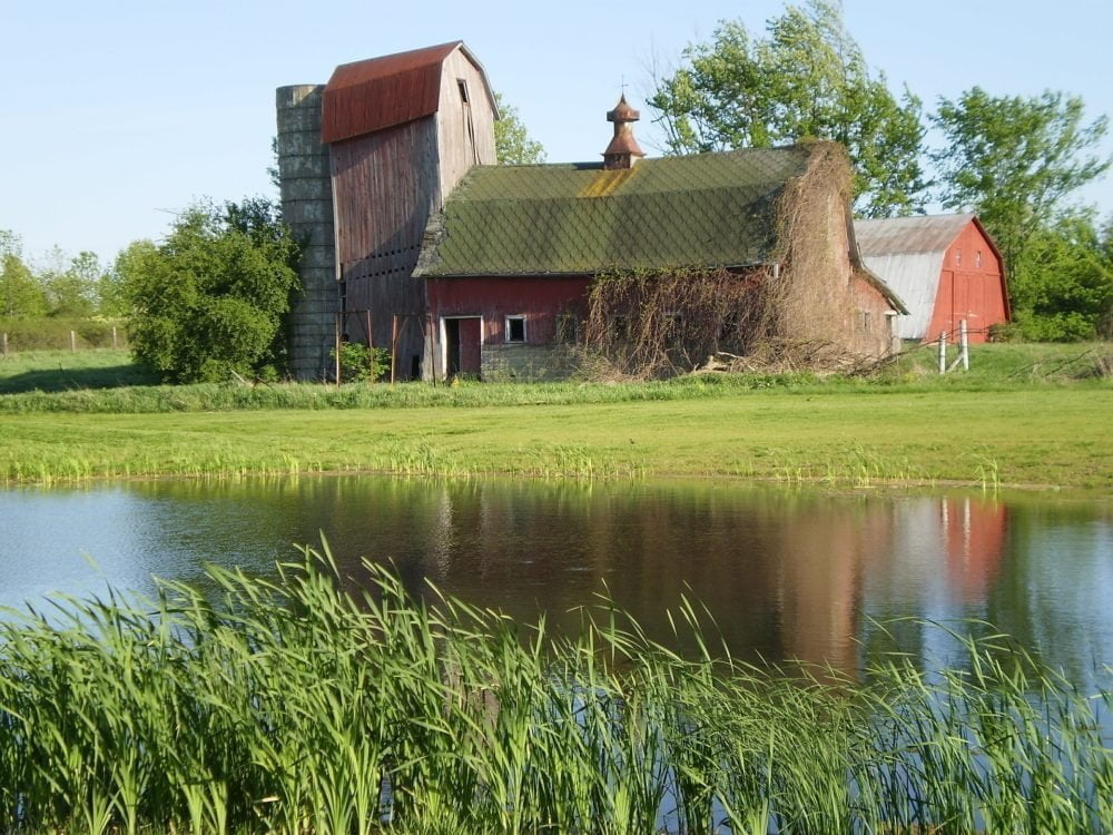 pond-on-farm