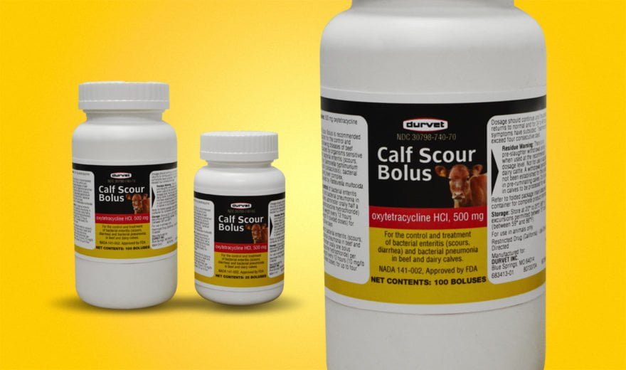 Product Spotlight: Calf Scour Bolus - Durvet